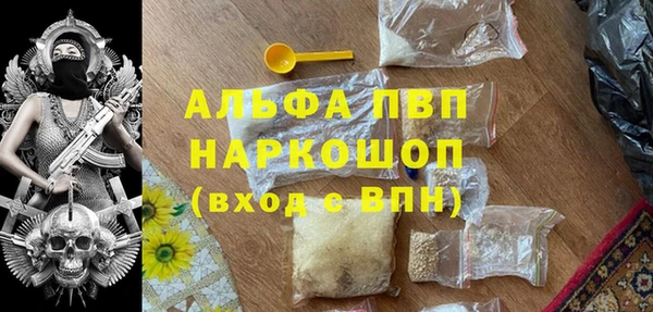 мет Алексин