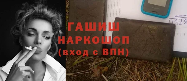 мет Алексин