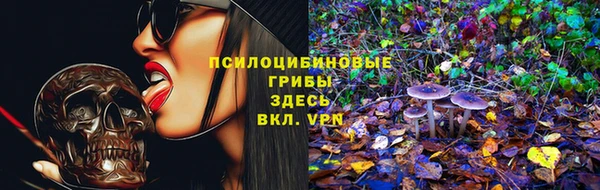 прущая мука Абаза