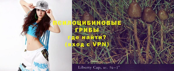 Альфа ПВП Алзамай