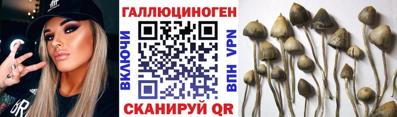 Псилоцибиновые грибы GOLDEN TEACHER  даркнет сайт  Ахтырский 